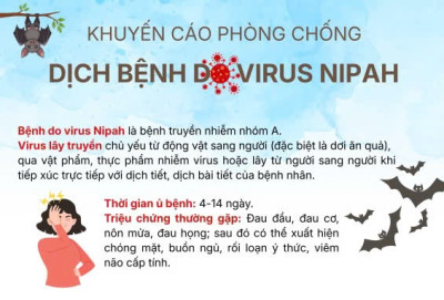 Chủ động phòng, chống dịch bệnh do vi rút Nipah