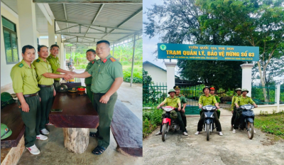 Công tác phối hợp tuần tra, kiểm soát bảo vệ rừng giữa Công an xã Buôn Đôn và Vườn quốc gia Yok Đôn