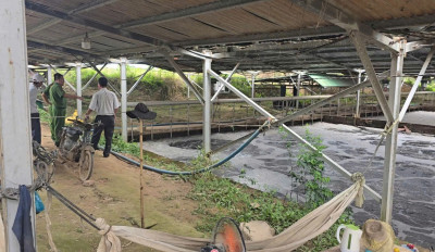 Quyết liệt triển khai Chỉ thị số 20/CT-TTg của Thủ tướng Chính phủ: Ngăn chặn, giải quyết tình trạng ô nhiễm môi trường trên địa bàn tỉnh Đắk Lắk