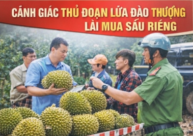 Cảnh giác các loại tội phạm lợi dụng mùa thu hoạch sầu riêng tại Đắk Lắk