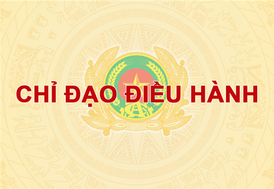 Chỉ đạo điều hành