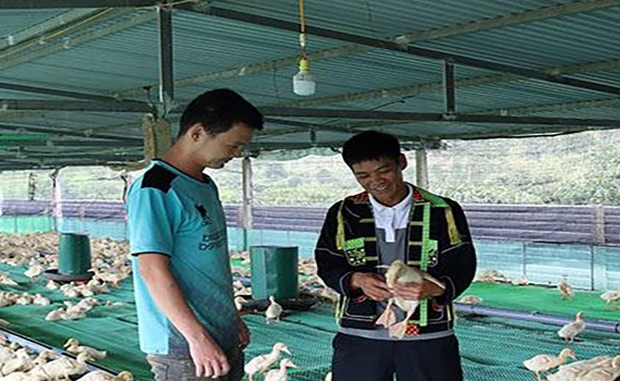 Người từng lầm lỗi được “mở lối” từ vay vốn chính sách tại địa bàn huyện Cư M’gar