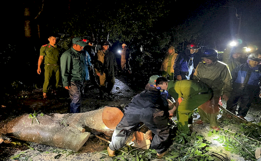 Công an tỉnh Đắk Lắk huy động lực lượng hỗ trợ người dân, khắc phục hậu quả cơn bão ngay trong đêm