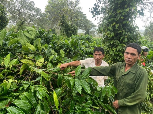 Công an xã Ea Kiết nhanh chóng bắt giữ hai đối tượng lợi dụng thời tiết mưa bão trộm cắp tài sản