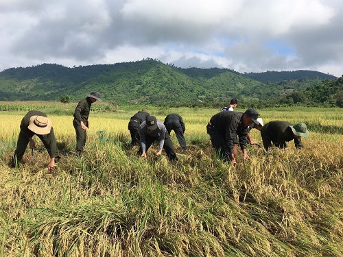Phòng Cảnh sát cơ động Công an tỉnh Đắk Lắk giúp đỡ đồng bào xã Yang Tao