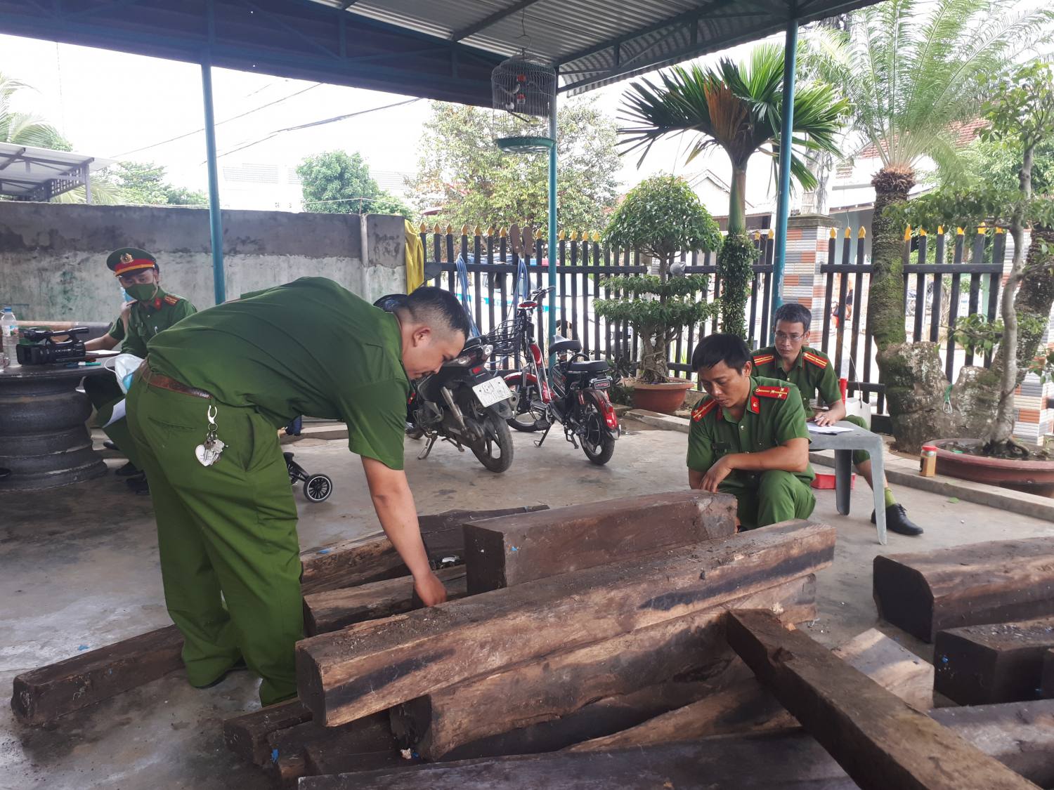 3phat hien so luong lon go khong co nguon goc xuat xu tai nha cac bi can