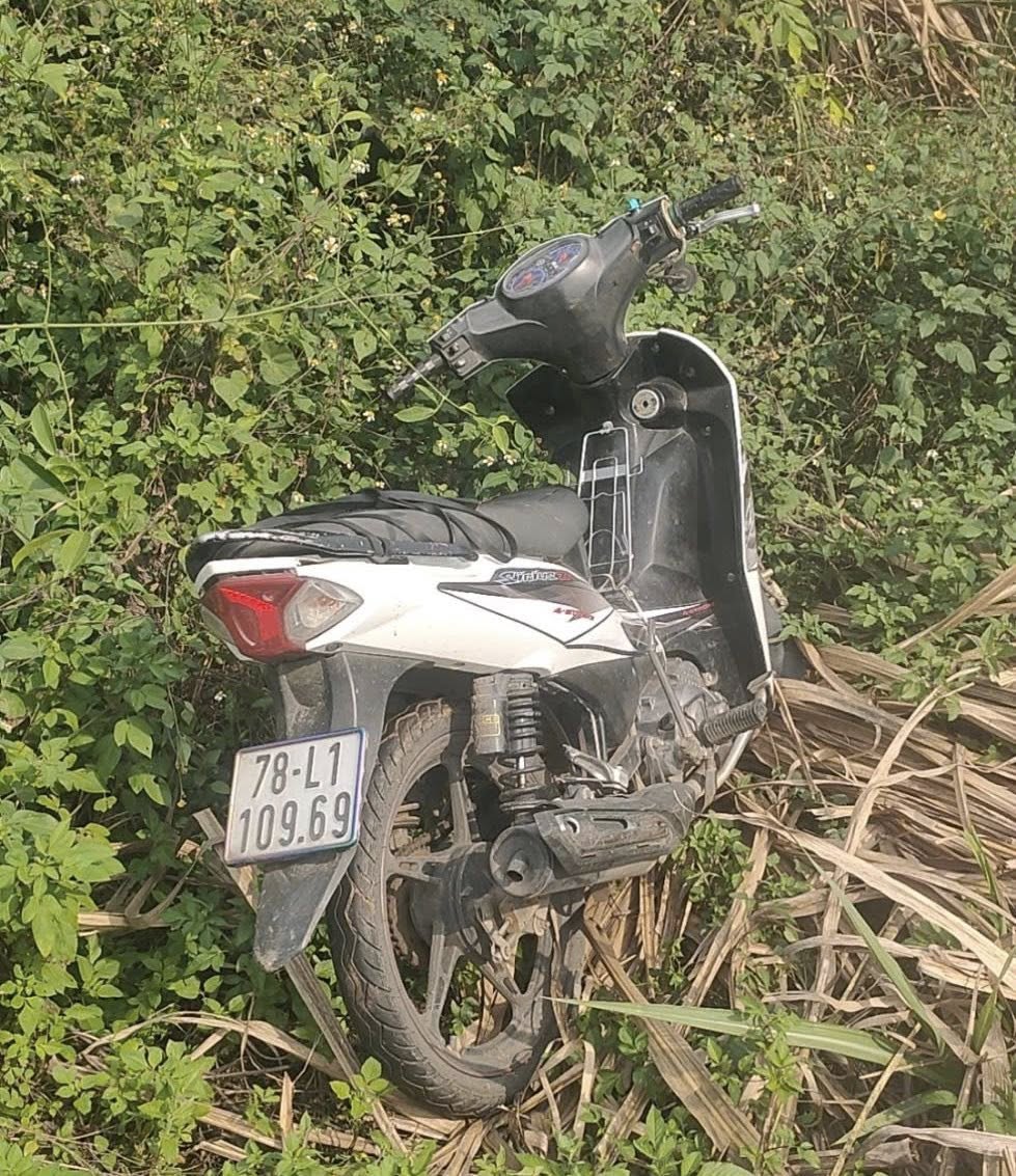 491754049 122225763020035403 1513523033163054593 n